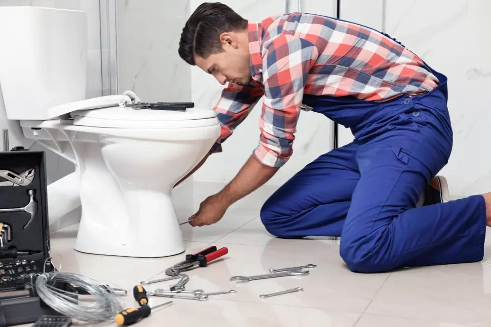 Licensed plumber setting a new toilet onto a repaired flange during a bathroom renovation