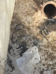 Drain Cleaning Near Me for Stubborn Clogs